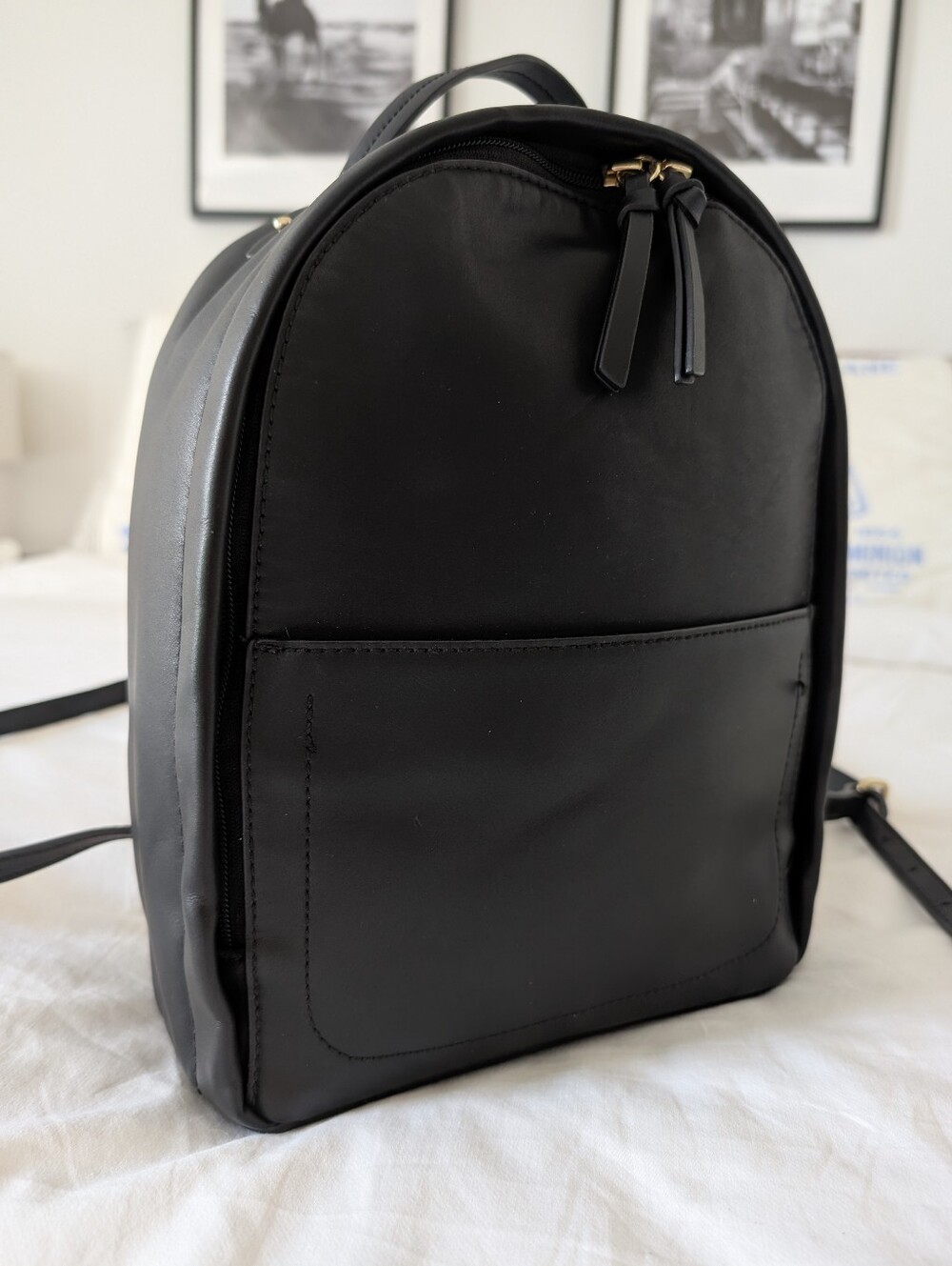 Sleek Black Leather Backpack